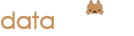 Data Squirel Logo