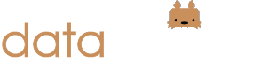 Data Squirel Logo